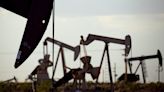 OPEC+ nations extend oil supply cuts