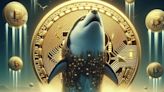 Dogecoin Set to Soar: Massive Whale Accumulation Signals $0.2 Target - EconoTimes