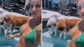 De biquíni, Leticia Bufoni curte piscina de sua mansão com seus cães; vídeo