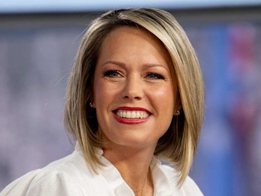 Dylan Dreyer's Plane Photo Stirs Up Intense Debate Amongst Fans: 'What Is Wrong with Everyone'