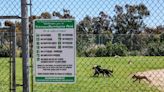 Bit by a billionaire's dog? Or a case of extortion? A legal saga from an L.A. dog park