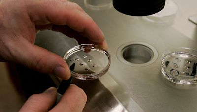 Leaving Alabama’s IVF programs open to attack