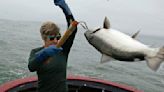 Salmon fishing banned off the California coast for the second year in a row