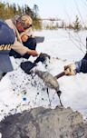 Heavy Metal: A Mining Disaster in Northern Quebec