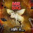 What If... (Mr. Big album)