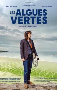 Les algues vertes