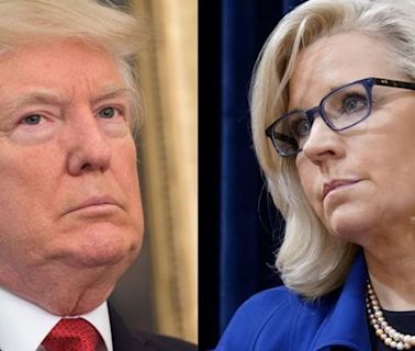 'Not a stable adult': Liz Cheney tells Trump exactly what makes him 'not fit for office'