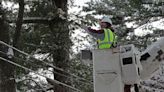 Squirrels cause more power outages than you might think - The Boston Globe