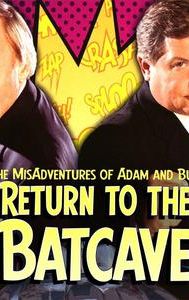 Return to the Batcave: The Misadventures of Adam and Burt