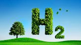 EU renewable hydrogen plan needs a “reality check”