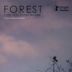 Forest – I See You Everywhere