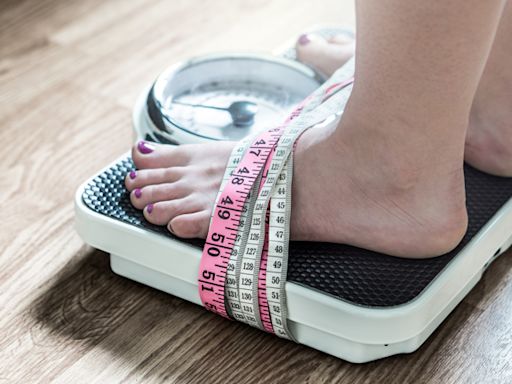 減重醫師實測早餐用211餐盤 8個月狂甩22kg - 健康