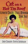Cat on a Hot Tin Roof (1958 film)