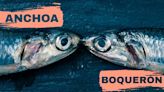 Anchoa o boquerón, ¿son diferentes? Mira sus beneficios y propiedades