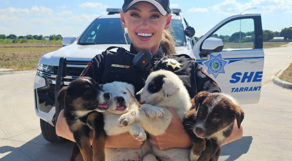 Deputies Rescue 8 Abandoned Puppies 'Barely Clinging To Life' In 100-Degree Texas Heat