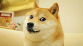 Shiba inu behind 'Doge' meme diagnosed with leukemia and liver disease, owner says