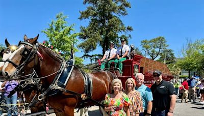 Town of Lexington welcomes Budweiser Clydesdales