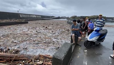 宜蘭驚見「大量漂流木」塞爆漁港！超慘現況曝光 漁民苦喊：出不了海