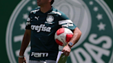 Palmeiras visita Criciúma pelo Brasileirão