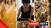 ‘Just don’t kill them’: Hong Kong beekeeper Harry Wong on the importance of urban bee conservation