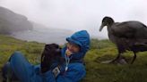 Have You Seen This? Giant petrel gets up close and personal with birdwatchers in South Africa