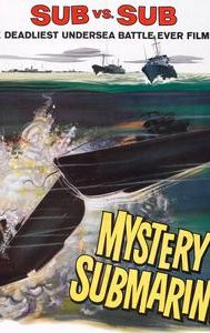 Mystery Submarine