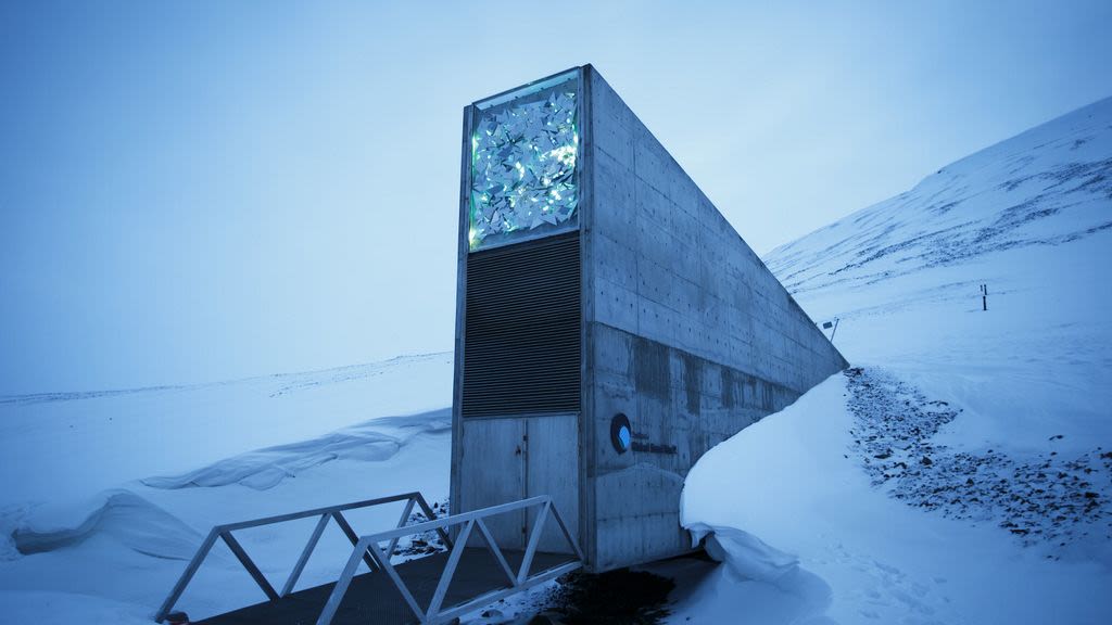 'We will feed the world in 50 years': Scientists behind giant seed vault win World Food Prize