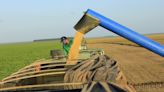 Mato Grosso busca trabalhadores para o campo