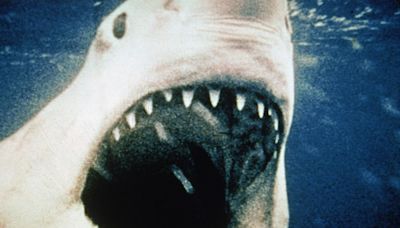 ‘Jaws @ 50’ Documentary Greenlit By Nat Geo; 5 ‘Jaws’ Factoids To Whet Your Appetite