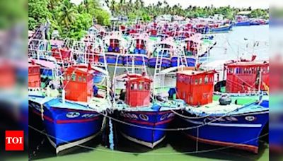 41% increase in threadfin bream catches, says study | Kochi News - Times of India