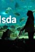 Isda