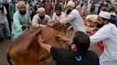 Pakistan Eid al Adha