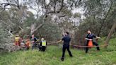 Ten dead after Christmas and Boxing Day storms in Australia