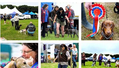 PICTURES: Doggy delights at Caithness Show with quality canines judged