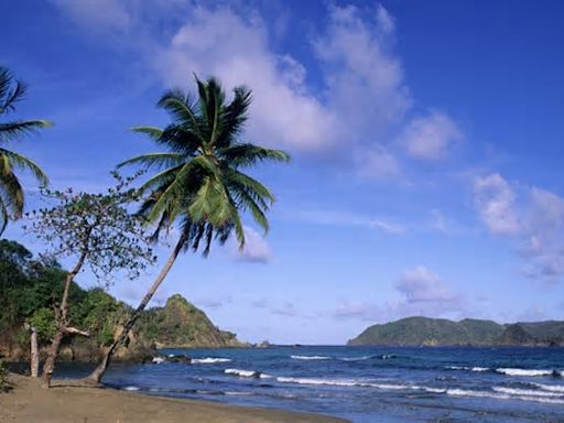 British tourist, 64, fighting for his life after shark attack metres from shore at Caribbean beach