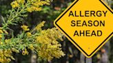 With the warmer weather, comes seasonal allergies - ways to help protect you and your family