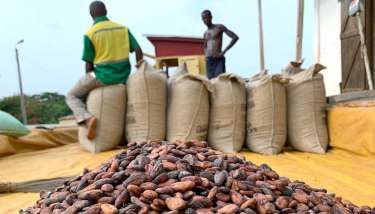 路透：迦納可可豆供應不穩 貿易商面臨10億美元損失 | Anue鉅亨 - 原物料