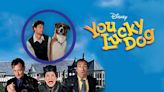 You Lucky Dog: Where to Watch & Stream Online