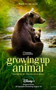 Growing Up Animal