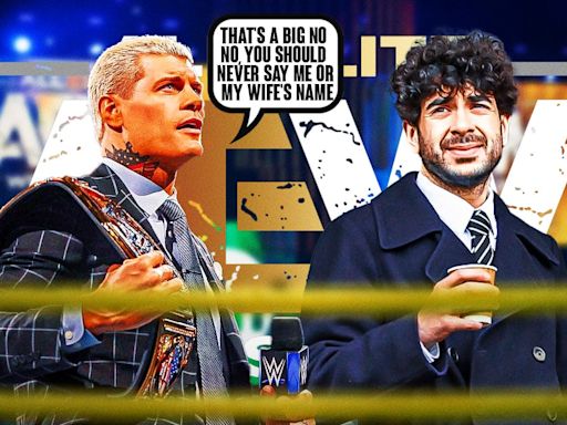 Cody Rhodes makes some curious comments about press conference slander in AEW