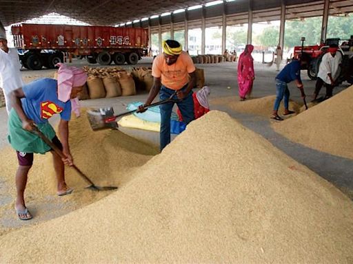 UP paddy reaches Karnal market, low prices disappoint farmers
