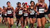 High school cross country: Region IV championships results