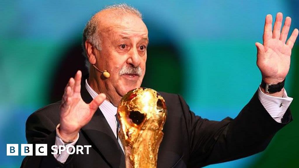 Vicente del Bosque: Former Spain boss hired to oversee football federation