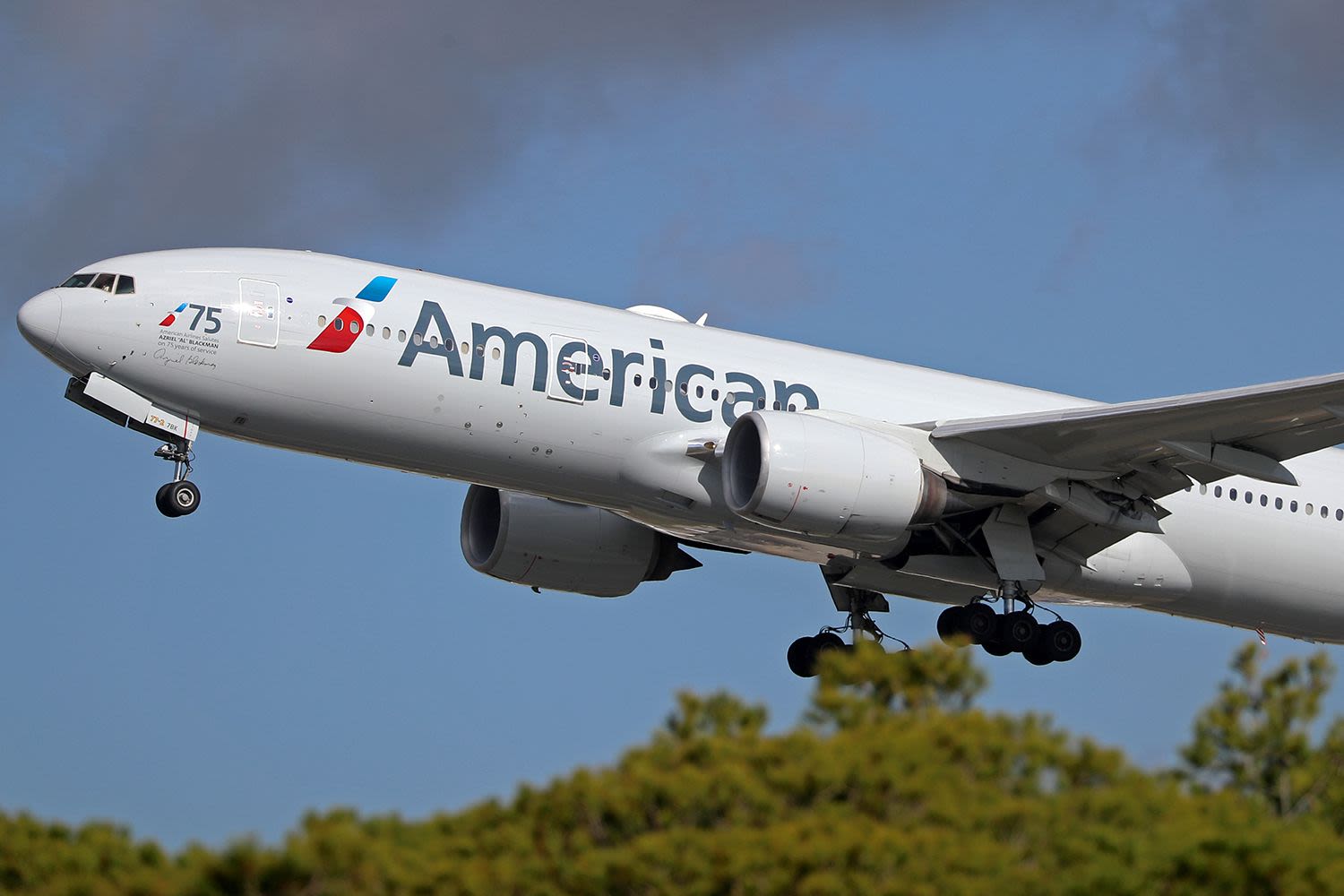 American Airlines Flight Makes Emergency Landing After Passenger Allegedly Exposes Himself, Urinates in Aisle