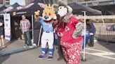 Royals, Chiefs mascots and leaders pitch stadium projects to Big 12 fans