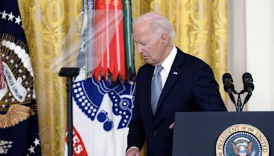 ¿Existen candidatos para remplazar a Joe Biden en las elecciones de Estados Unidos?