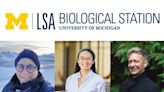 Three artists selected for summer residency at U-M Biological Station
