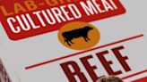 Florida Banning Lab-Grown Meat Is About Freedom, Not Food