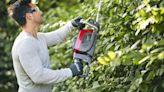 Gardeners banned from cutting hedges in May with fine and jail time warning