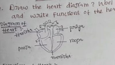 ...On Internet Today: Student Draws Heart Diagram, Labels Parts Of Organ With Girl Names In Viral Answer Sheet